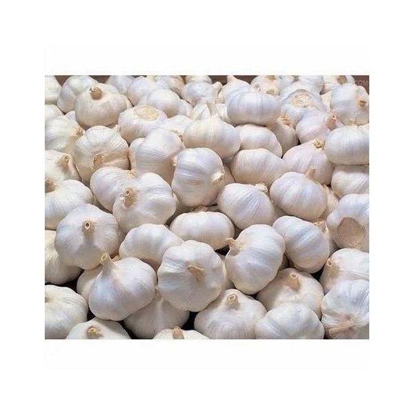 Organic Fresh Garlic - Whole Bulb