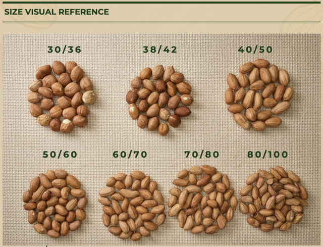 Whole Raw Peanuts