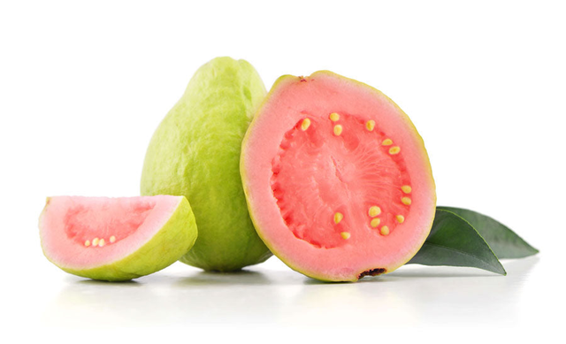 Fresh Guava Fruit