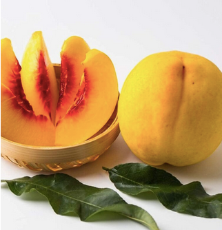 Canned Apricot Halves