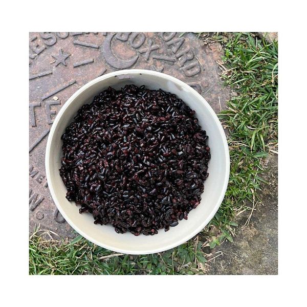 Black Rice in Bulk Container