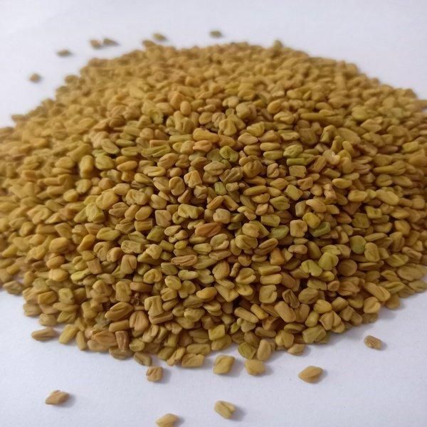 Fenugreek Seeds - High Nutritional Value and Aroma