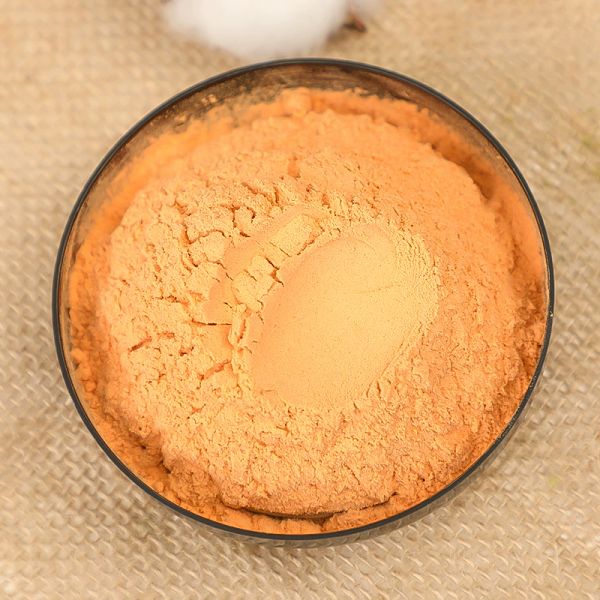 Premium Dehydrated Carrot Powder