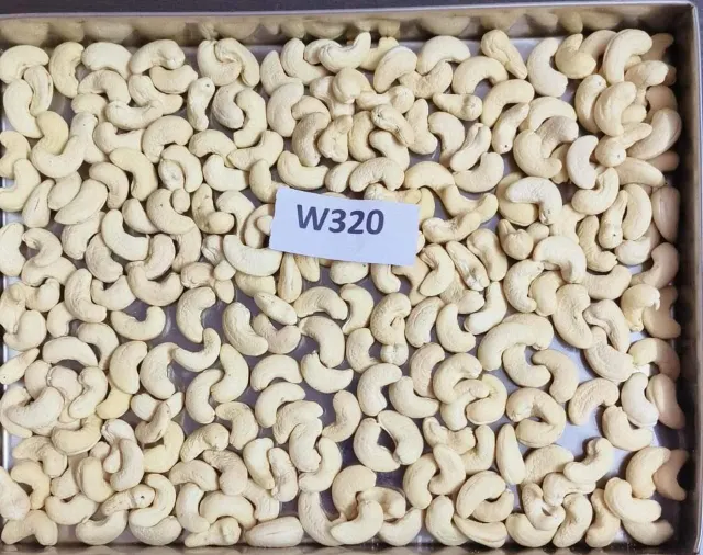Processed Cashew Nuts
