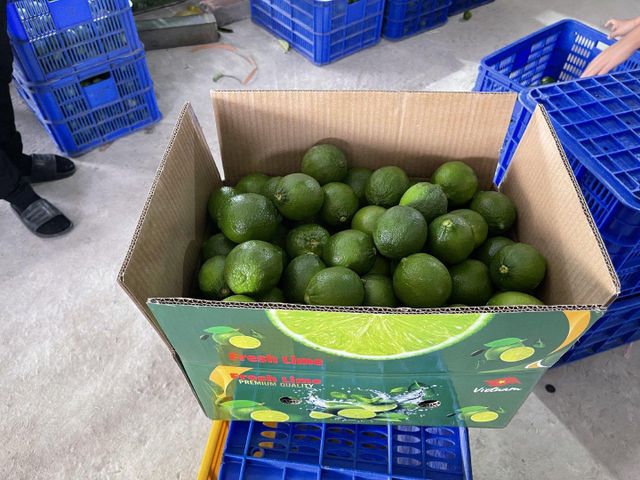 Lime Juice