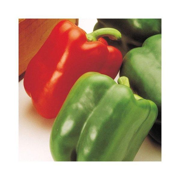 Yellow Bell Pepper