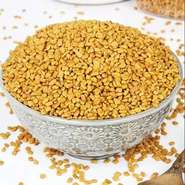 Fenugreek Seeds in Commercial Container