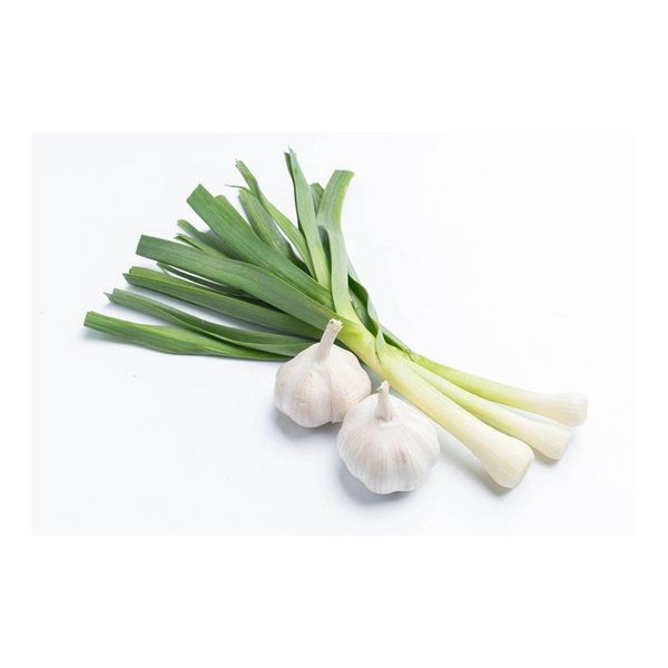Normal White Garlic