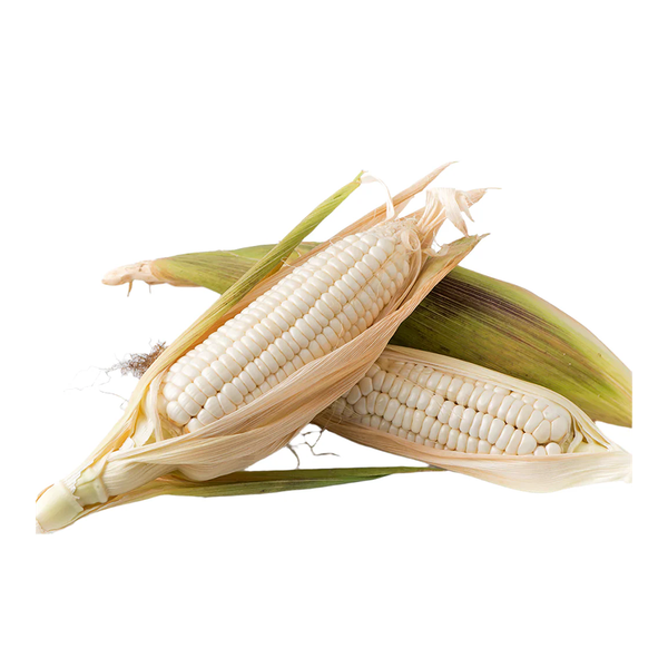 Clean White Corn