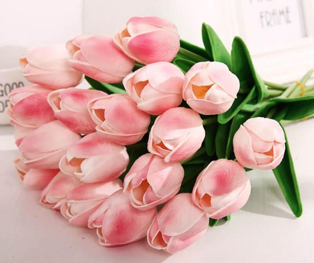 Pink Single Tulip Flower