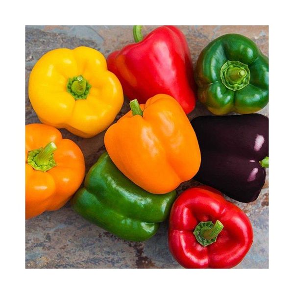 Fresh Green Bell Pepper