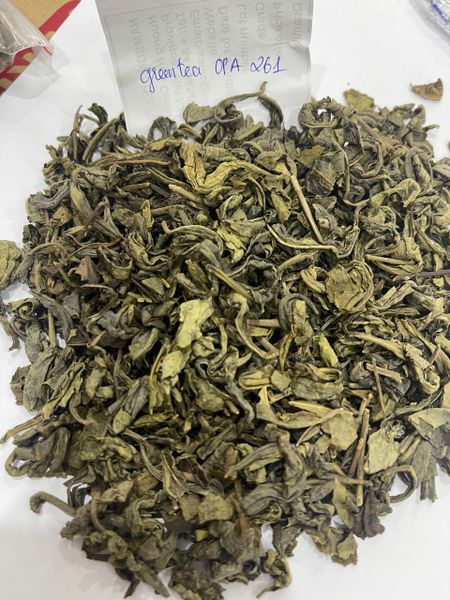 Fresh Green Tea Product