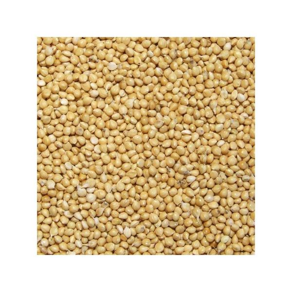 Bulk Yellow Millet - Product 3