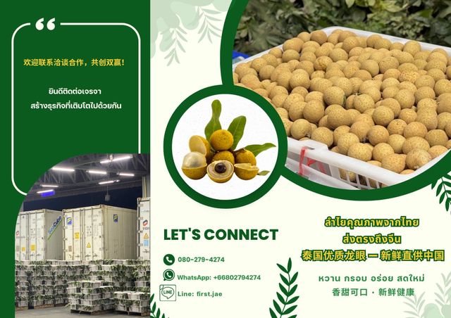 Fresh longan fruit