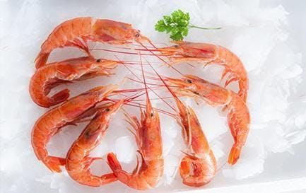 Frozen Langostino product