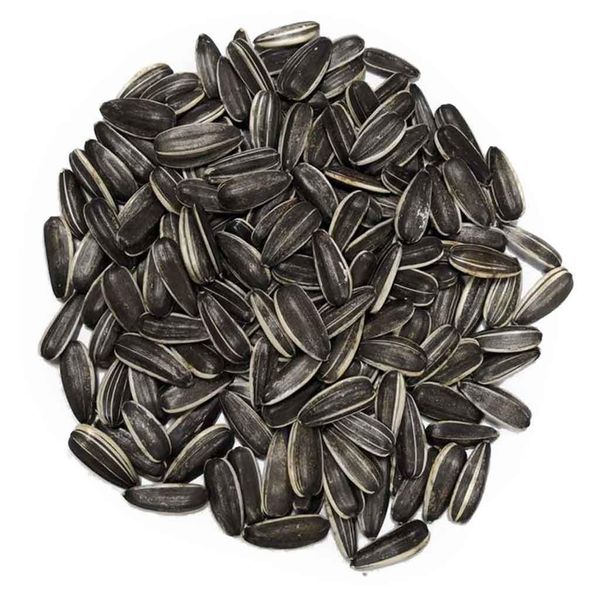 Clean sunflower seeds in bulk packaging