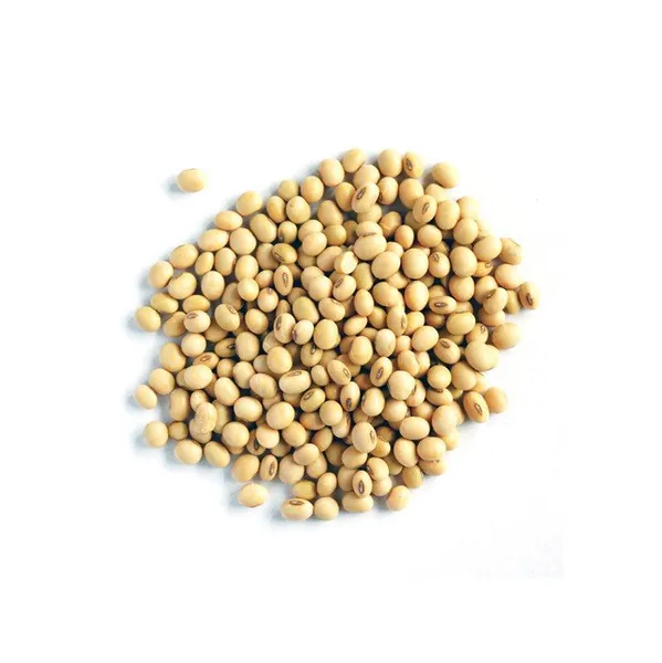 Soybeans for food processing