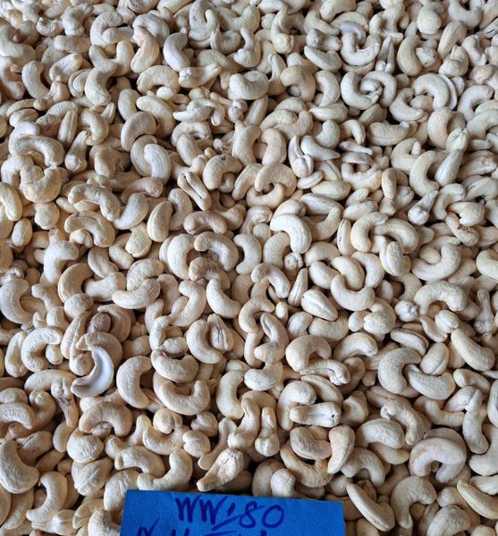 Fresh Cashew Nuts