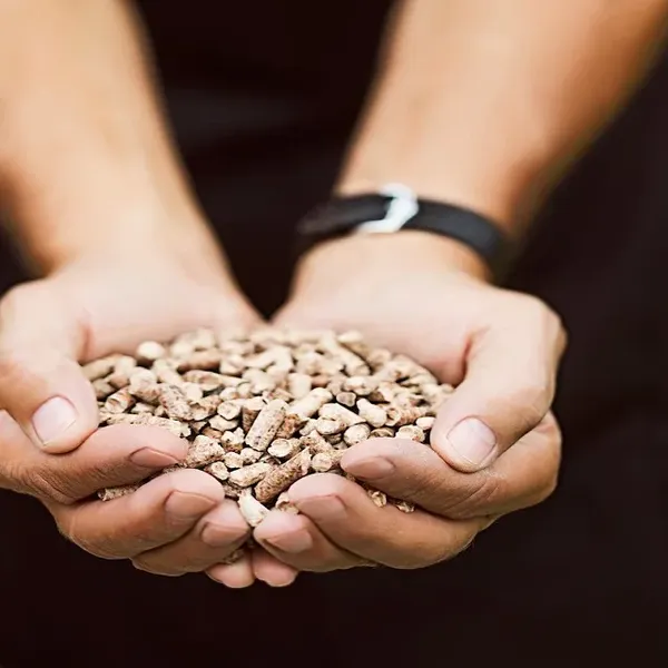 Stick-Shaped Pellets for Heating Systems