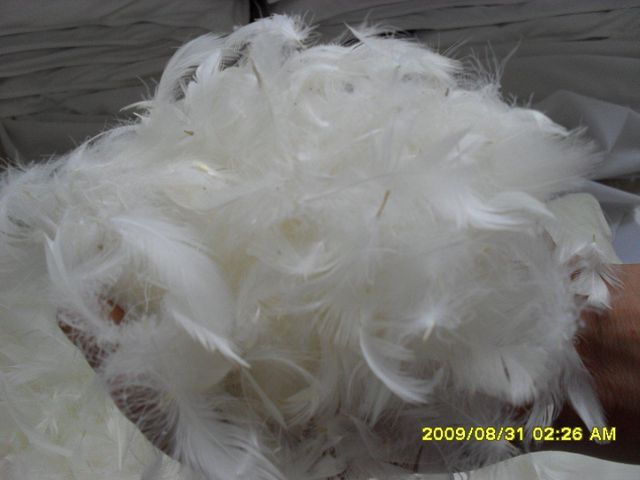 Goose feather product