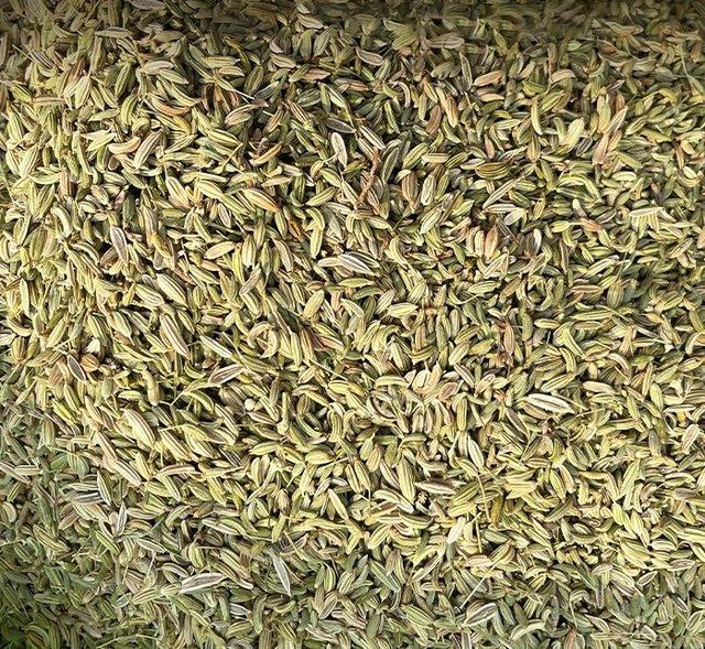 Fennel Seeds in Bulk Container