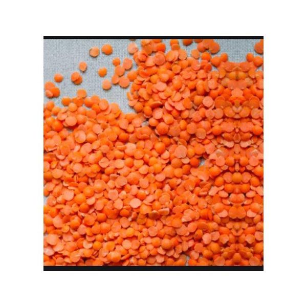 Red Lentils - Cooked and Ready