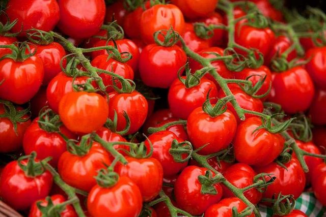 Fresh Red Tomato