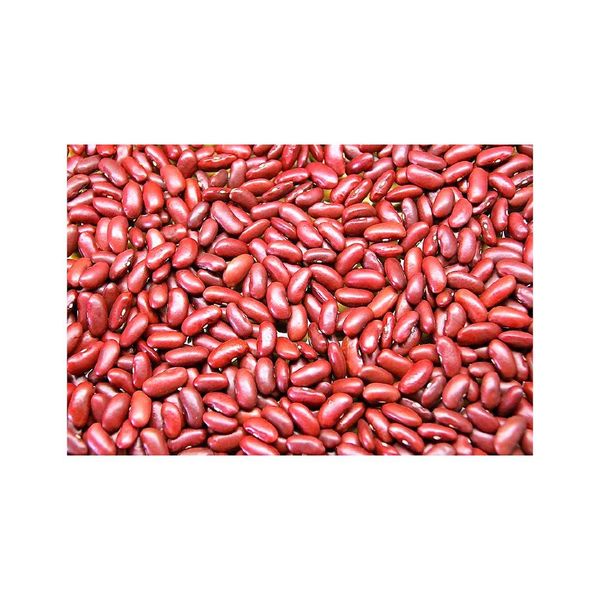 Canned Kidney Beans - Opened View