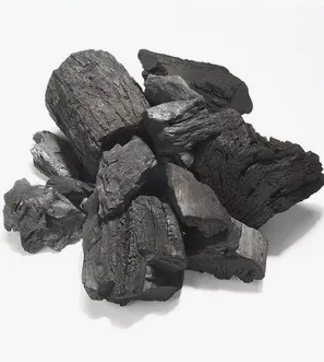 Coconut Shell Charcoal Briquette