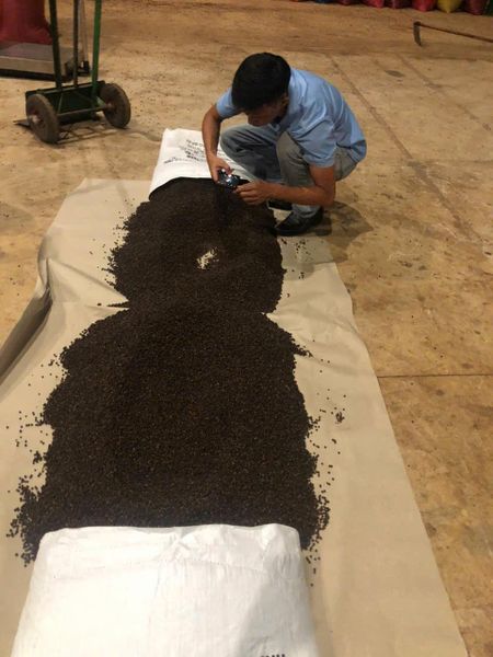 Premium Peppercorn Harvest