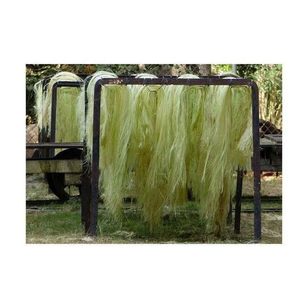 Sisal Fiber in paper-based China origin products