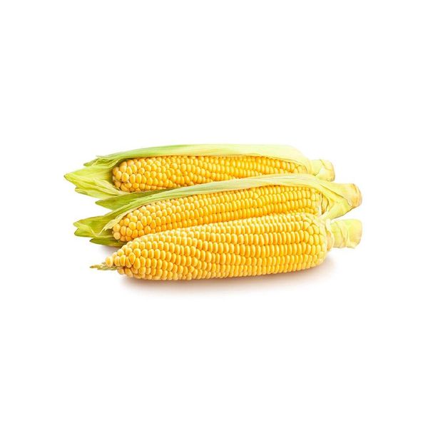 Yellow Maize Product