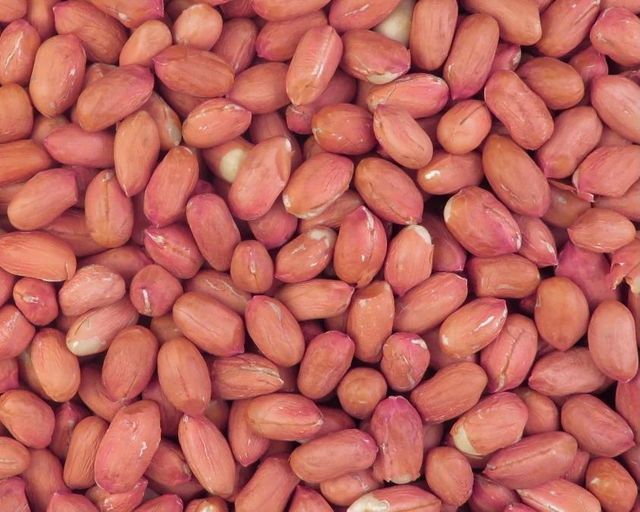 Peanut Kernels Raw – Turkish Origin