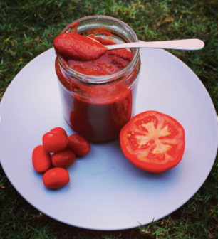 300g Canned Tomato Paste