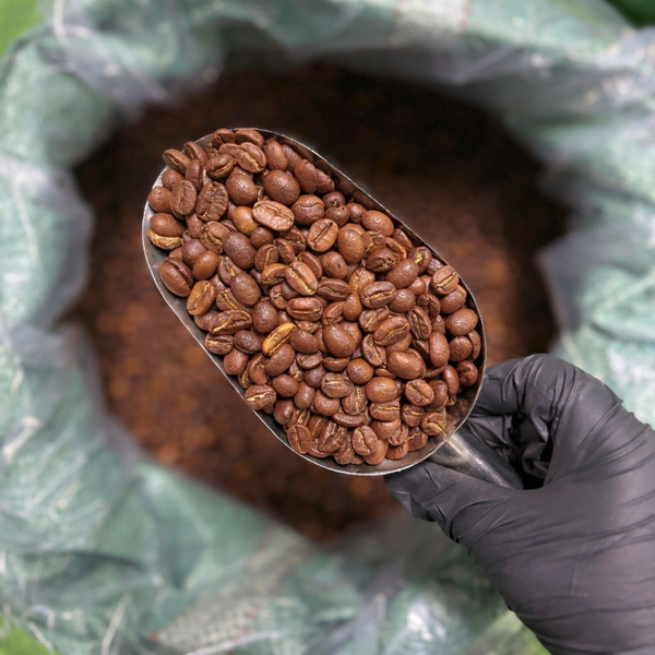 Arabica Roasted Beans