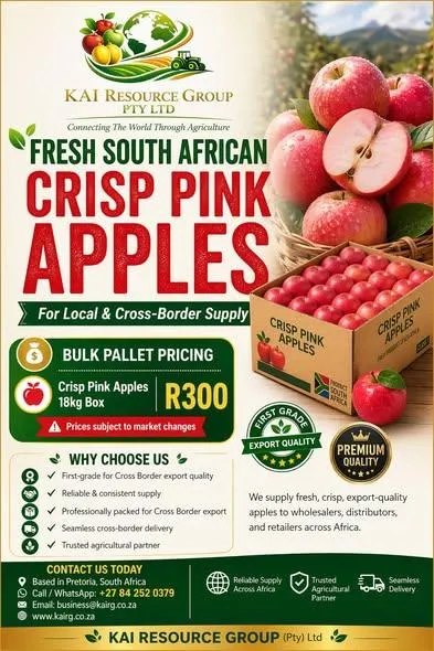 Watery-Rose-Apple