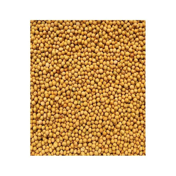 Soybeans for livestock feed