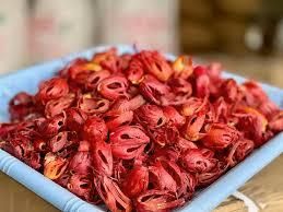 Premium Dried Mace