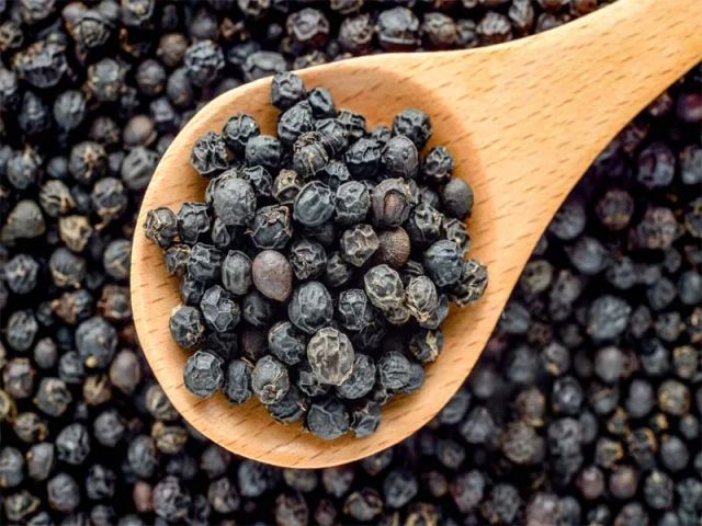 Sri Lankan Black Pepper