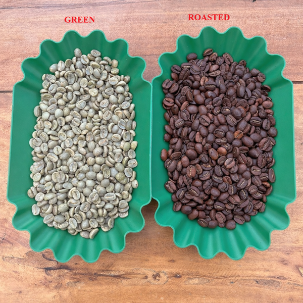 Robusta Roasted Beans