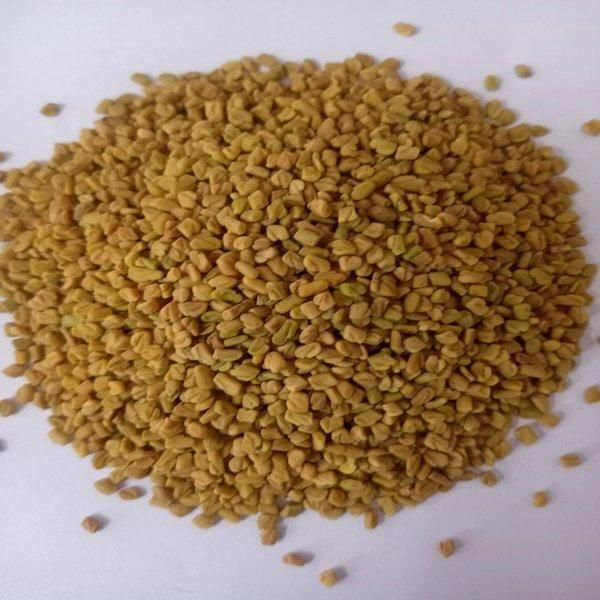 Fenugreek Seeds