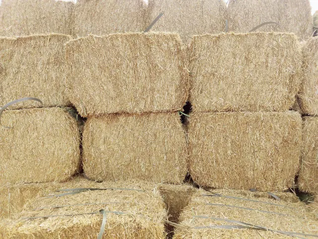 Wheat Straw Product 3