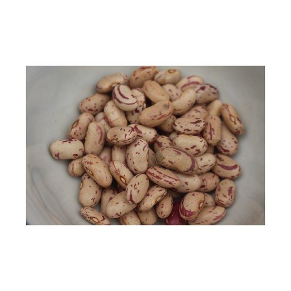 Sugar Beans - Packaged for Distribution
