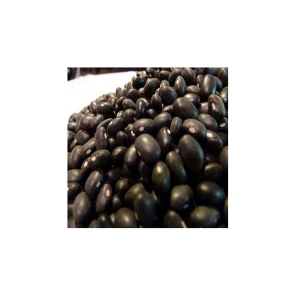 Black Kidney Beans - Bulk Packaging