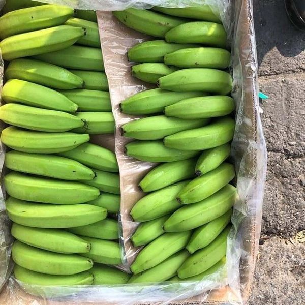 Green Banana Product 1