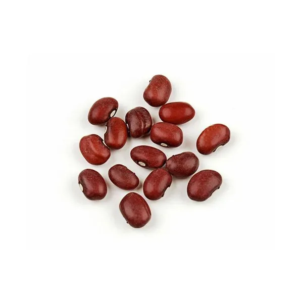 Fresh Red Kidney Beans