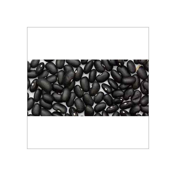 Black Kidney Beans - Family Size Pack