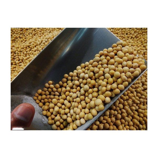 Soybeans in retail-ready containers