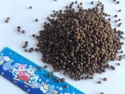 DAP Fertilizer in Storage