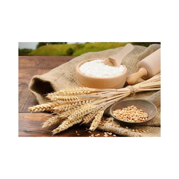 Wheat Flour Product 1